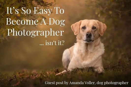 How to become a professional dog photographer (guest blog) LSP Actions by Lemon Sky