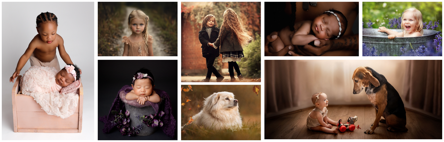 Elevate Your Editing