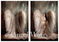Angel Wings 