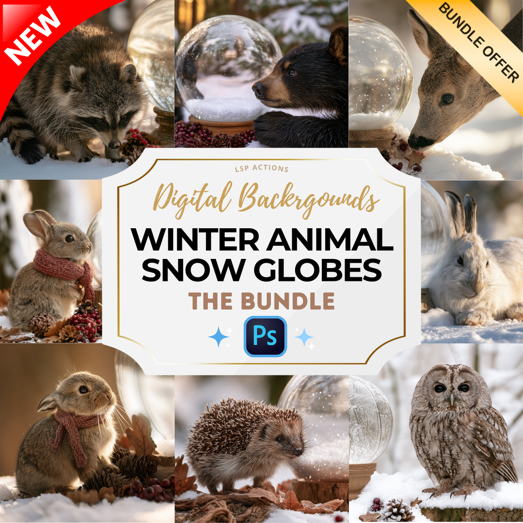 Winter Animals Snow Globe Digital Background BUNDLE