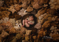 Baby Bears Digital Background Digital Background for Photoshop