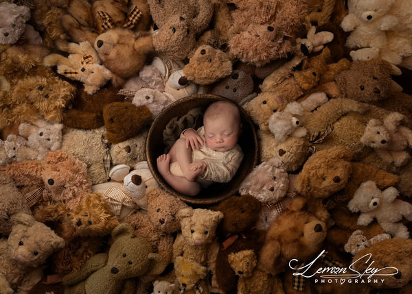 Teddy Bear Dreams Digital Background