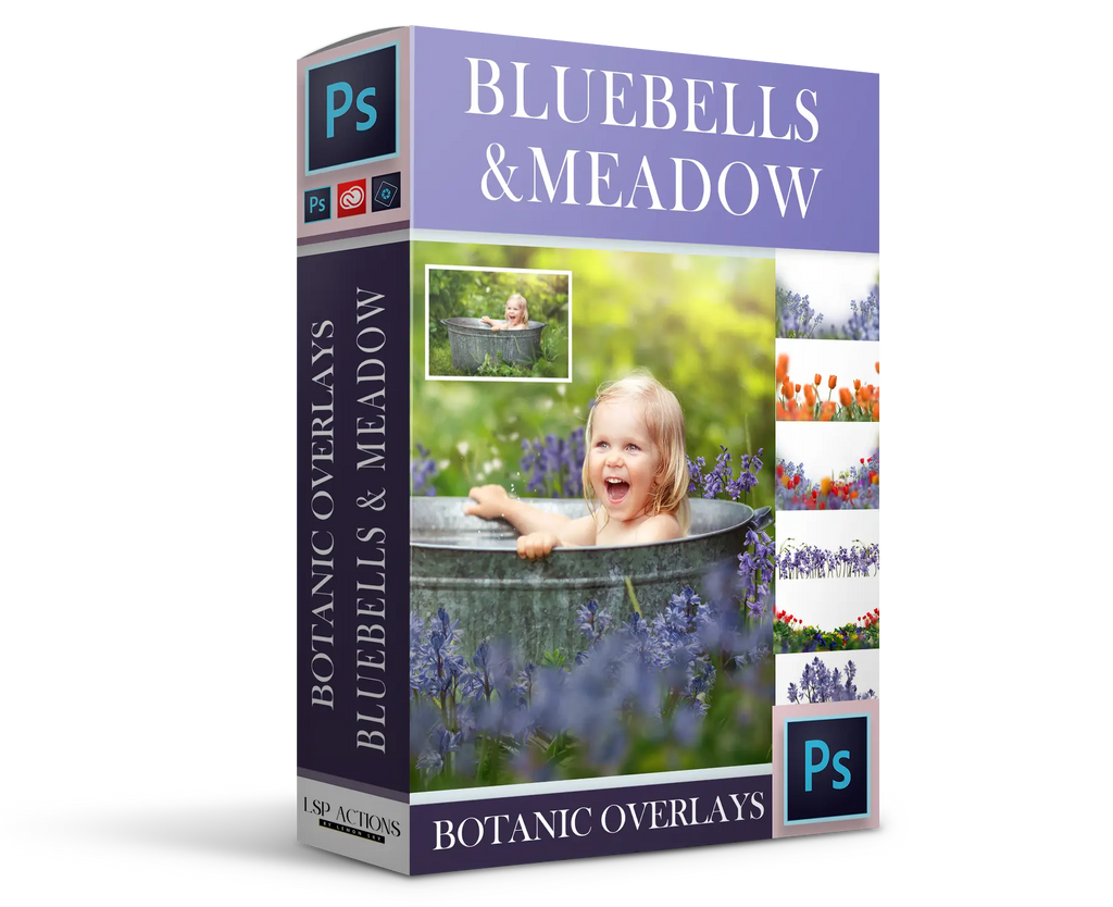Botanical Overlays: Bluebell Meadow Overlays: Floral Framers and Botanical Branches