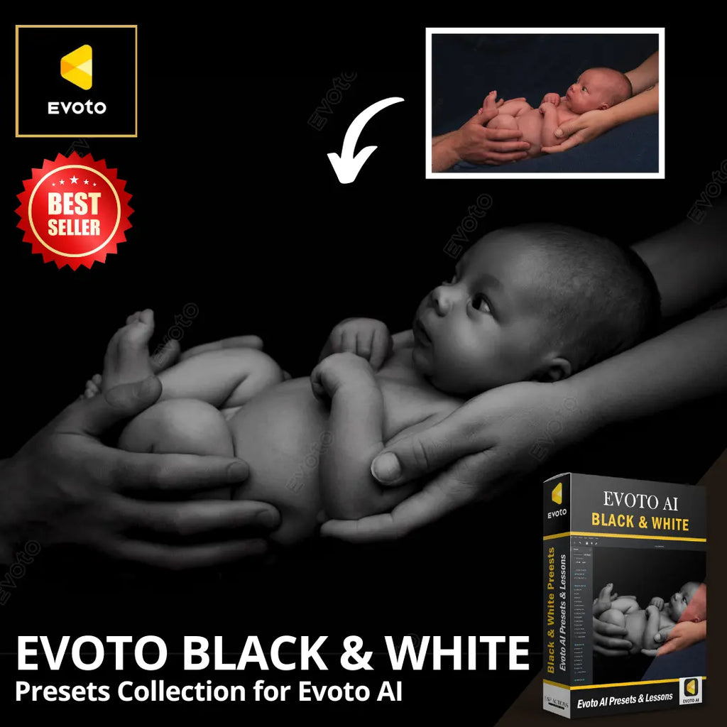 Evoto Black & White Mono Presets Collection Evoto AI Presets
