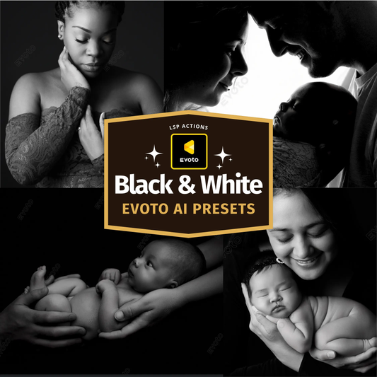 Evoto Black & White Mono Presets Collection Evoto AI Presets