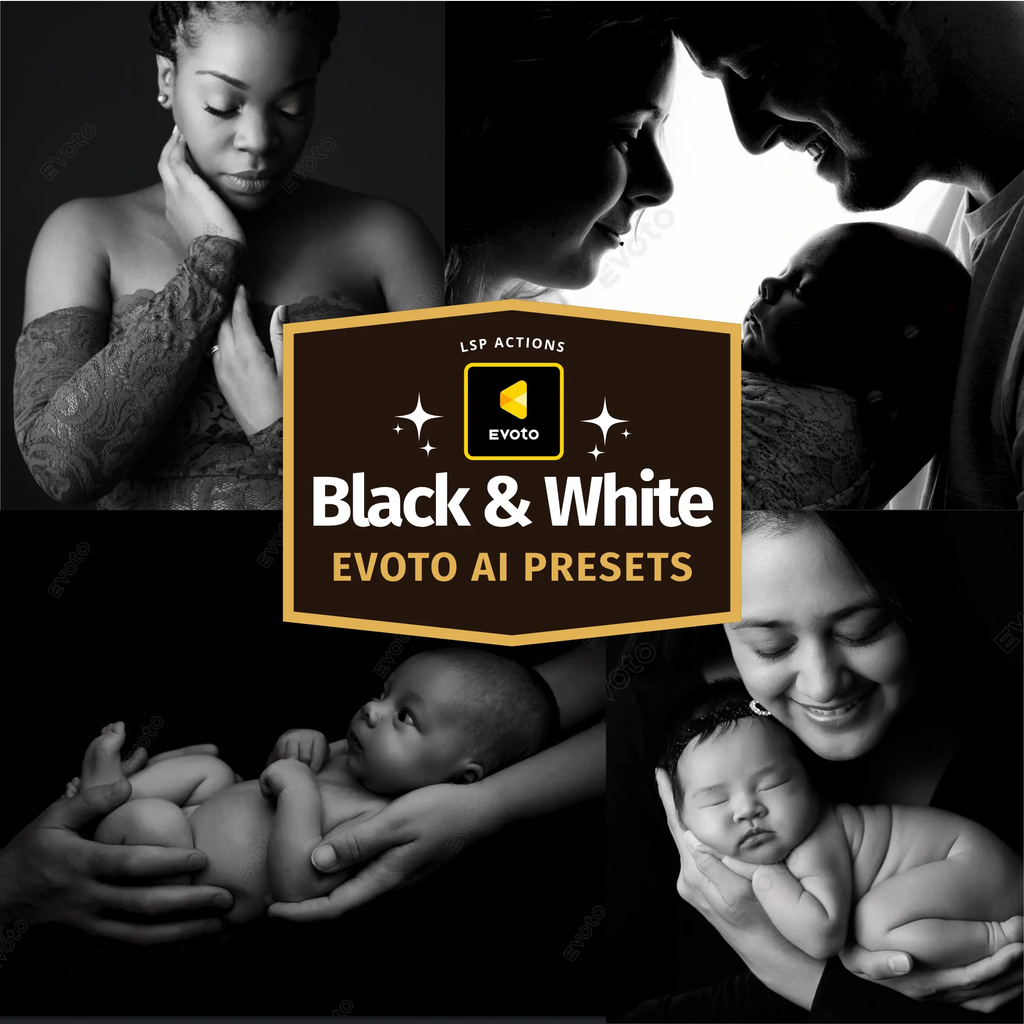 Evoto Black & White Mono Presets Collection Evoto AI Presets