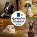 Fur Babies - Photoshop Actions [VIP] Photoshop Actions
