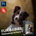Fur Babies - Photoshop Actions [VIP] Photoshop Actions