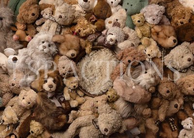 One Of These Bears Digital Background Digital Background for Photoshop