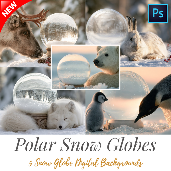 Polar Animal Magic - 5 Snow Globe Digital Backgrounds