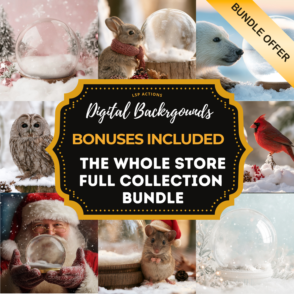 SNOW GLOBES: THE WHOLE STORE 50+ Snow Globe Digital Bundle for Photoshop.