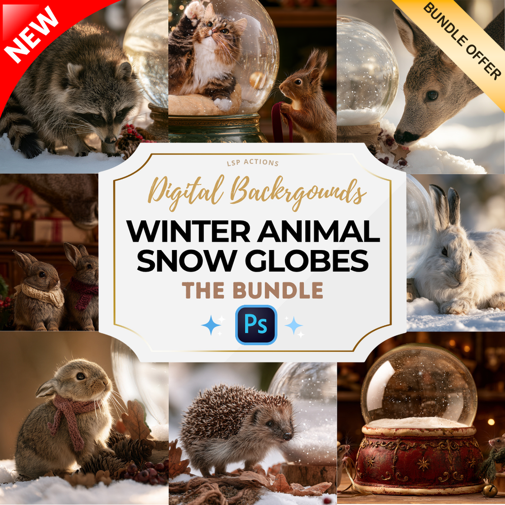 Christmas Winter Animals Snow Globe Digital Background BUNDLE