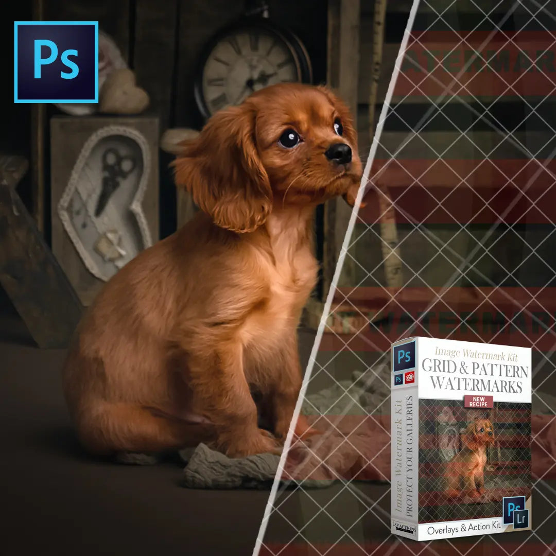 Watermark Grid and Overlays - Photoshop Action Mini kit – LSP Actions ...