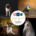 Wild Spirit Lightroom Presets LSP Actions by Lemon Sky