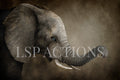 The Baby Mine Elephant Digital Background for Photoshop by LSP Actions with the LSP ACTIONS name across it