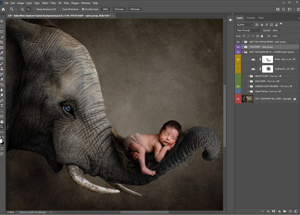 Baby Mine Elephant Digital Background