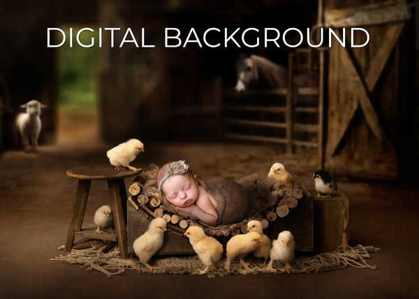 Barnyard Chicks Digital Background