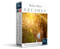 Product image for the Boho Dust & Bokeh Brushes for Photoshop by LSP Actions