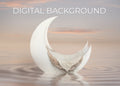 Calm Sea Moon Digital Background Digital Background for Photoshop