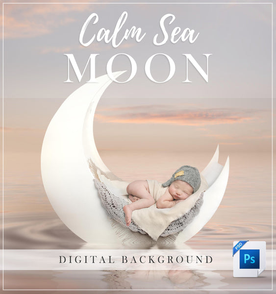 Calm Sea Moon Digital Background
