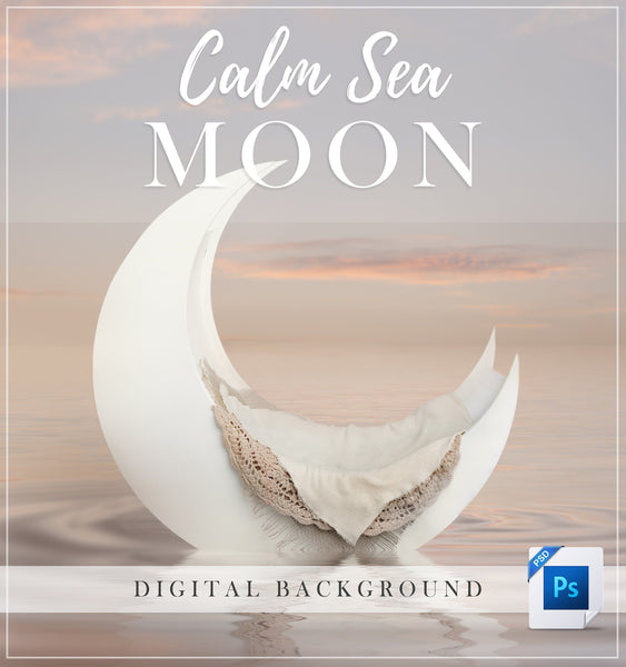 Calm Sea Moon Digital Background