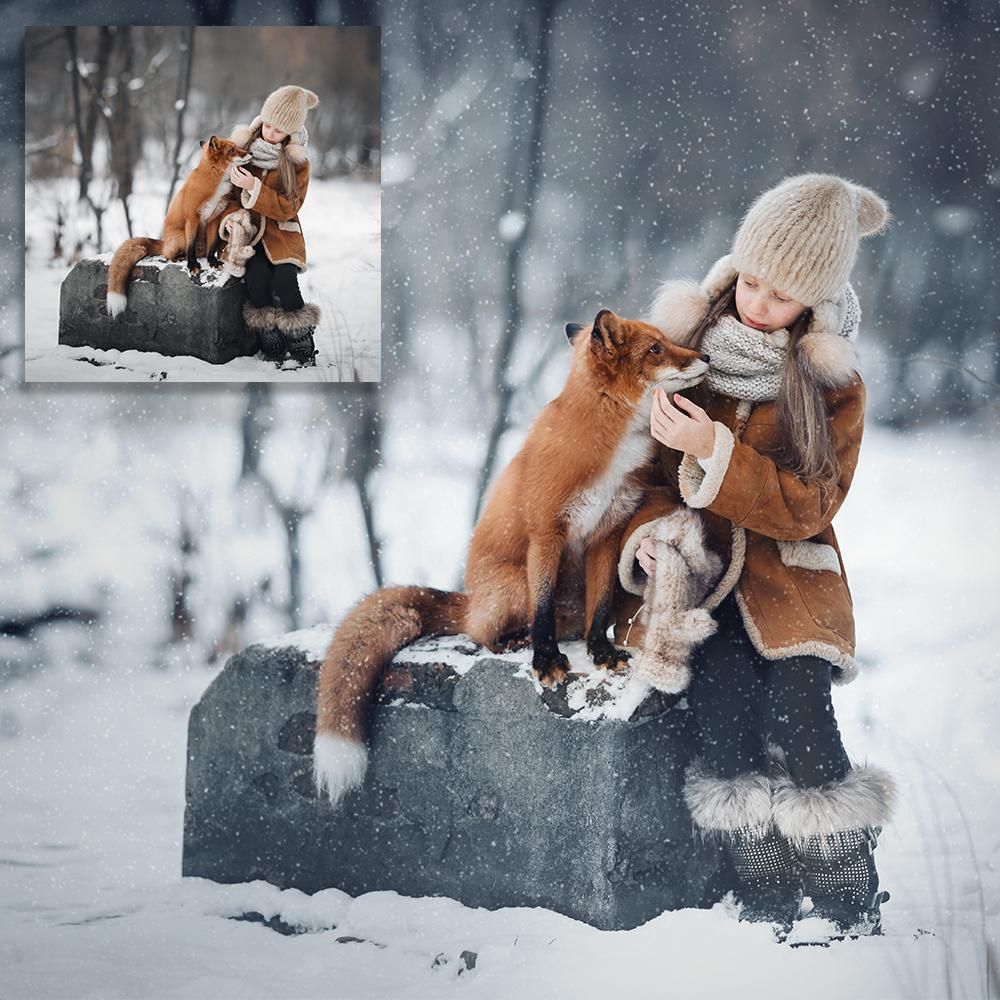 Ice Kissed Winter Action & Video Collection For Photoshop Photoshop Action Set + Moving Snow Video Overlays
