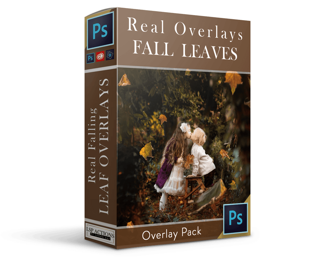 Real Falling Leaves Overlays Overlays & Photoshop Actions
