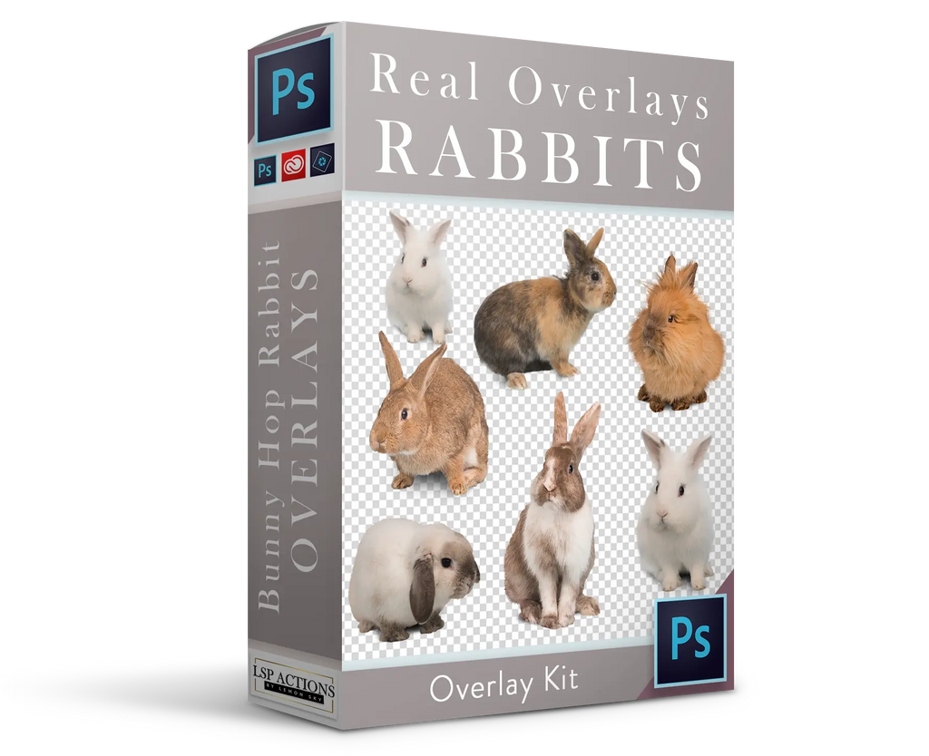 Real Rabbits Overlay Bundle Real Overlays & Photoshop Actions