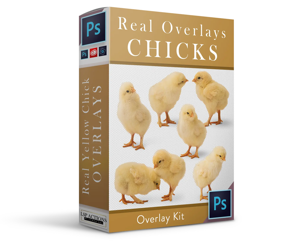 Real Yellow Chicks Overlay Bundle Real Overlays & Photoshop Actions