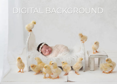 Shabby "Chick" Digital Background Digital Background for Photoshop